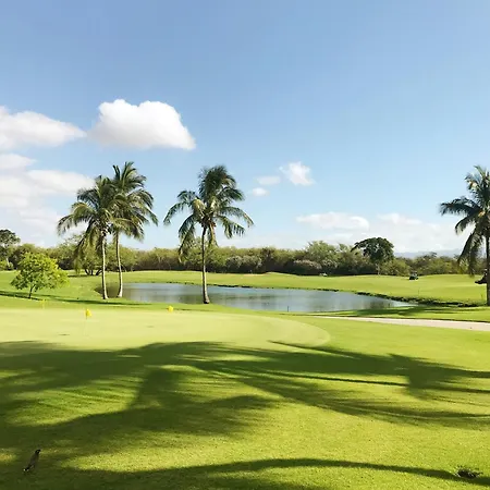 Private Vilamoura With Pool And Large Garden Quarteira